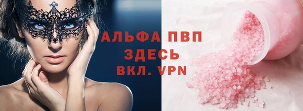 твердый Вяземский