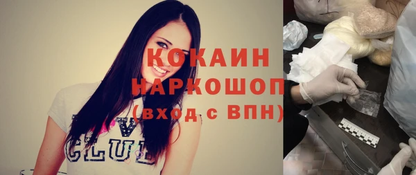 твердый Вяземский