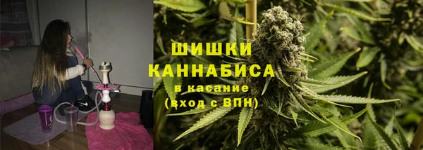 твердый Вяземский