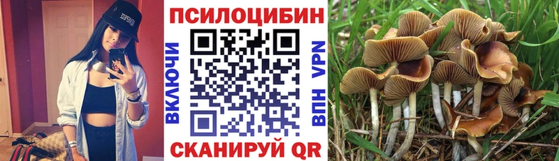 Псилоцибиновые грибы Cubensis  Купить где  Микунь 